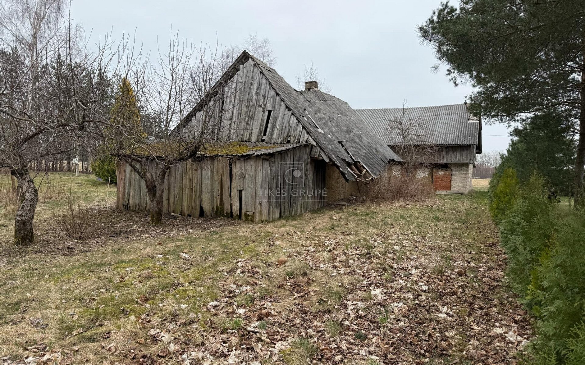 Parduodama unikali sodyba su įžuvintu tvenkiniu Klaipėdos rajone, Poškų k. (Šalia Agluonėnų)