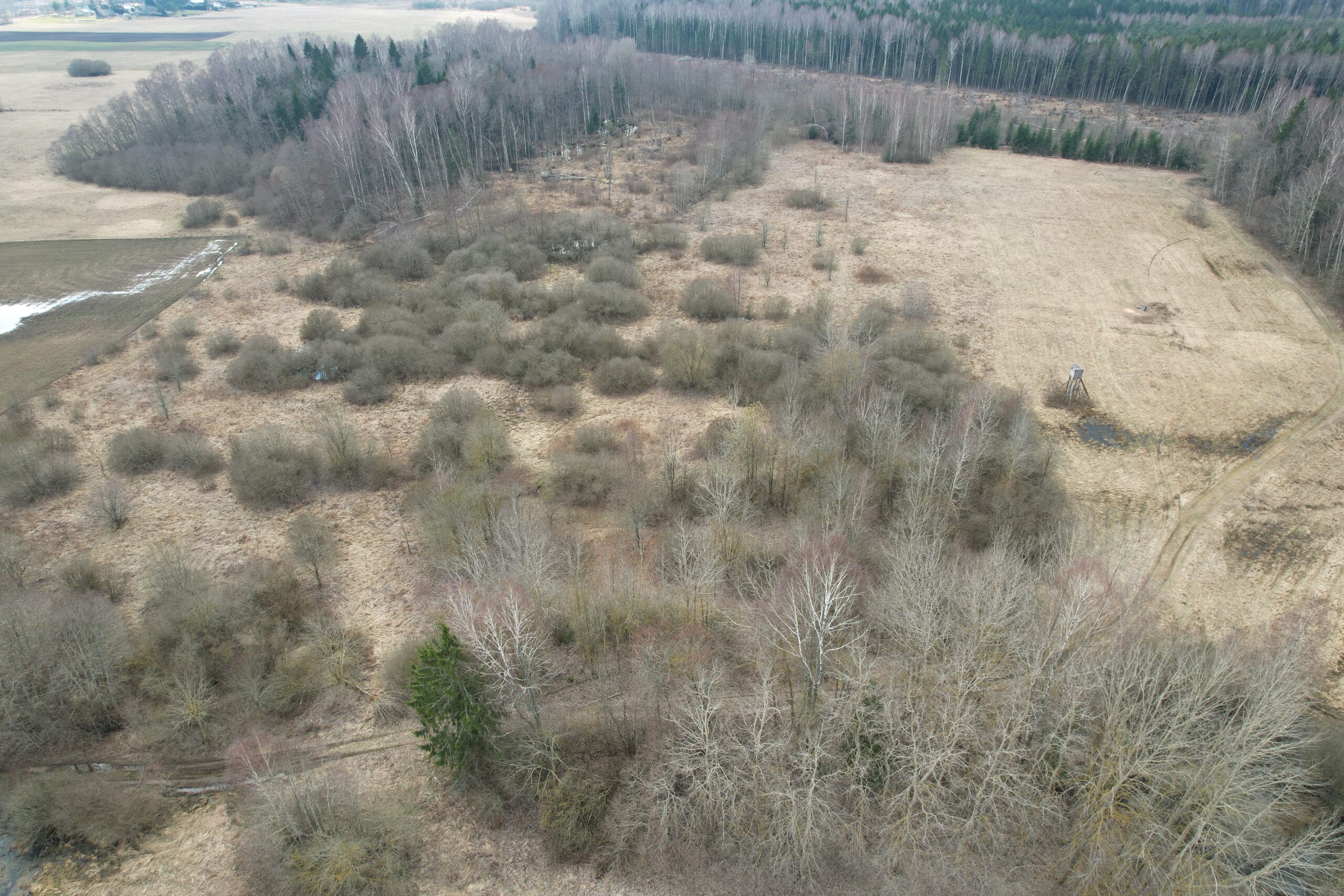 6,6600 HA Širvintų r. sav., Alionių sen., Jonių k.