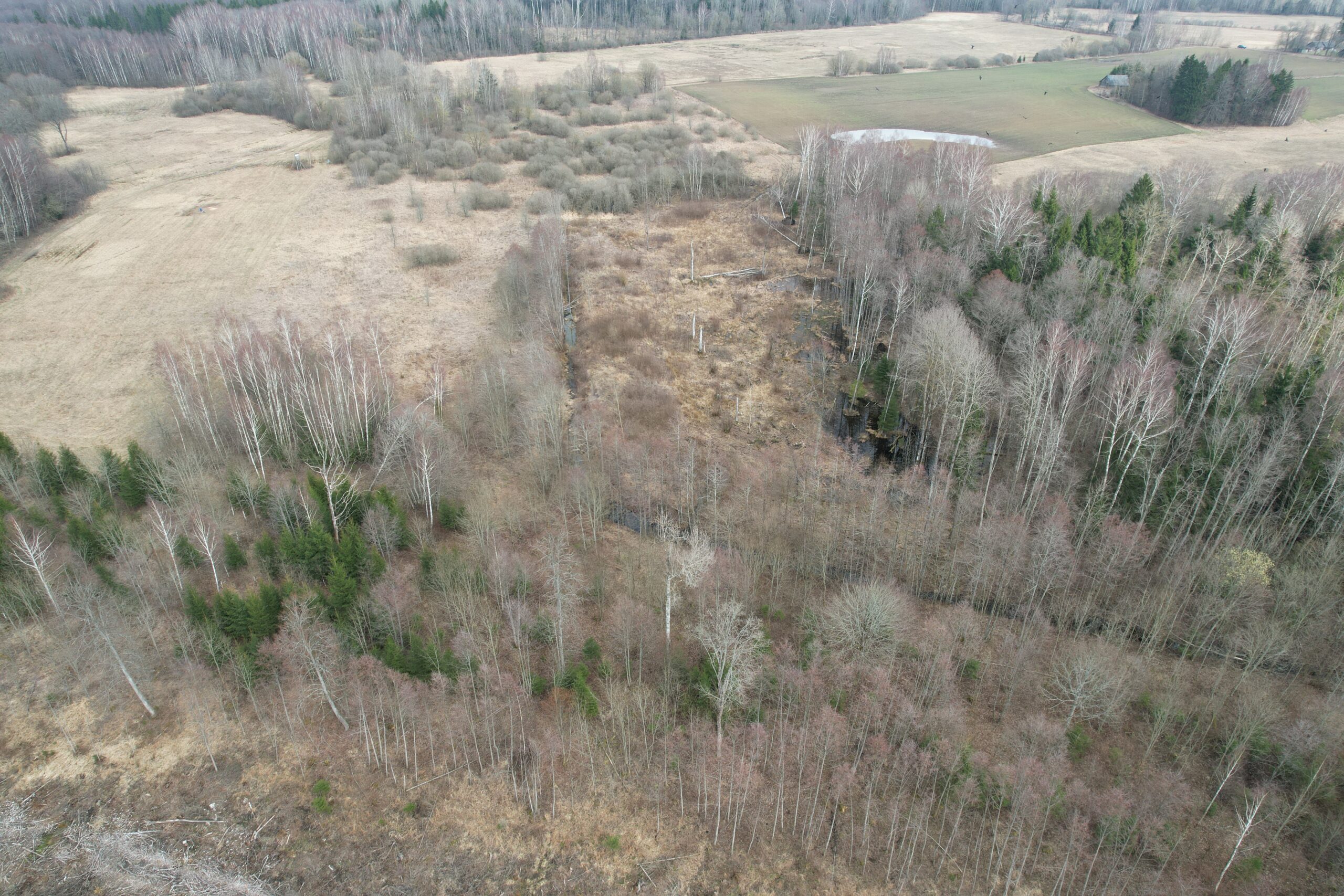 6,6600 HA Širvintų r. sav., Alionių sen., Jonių k.