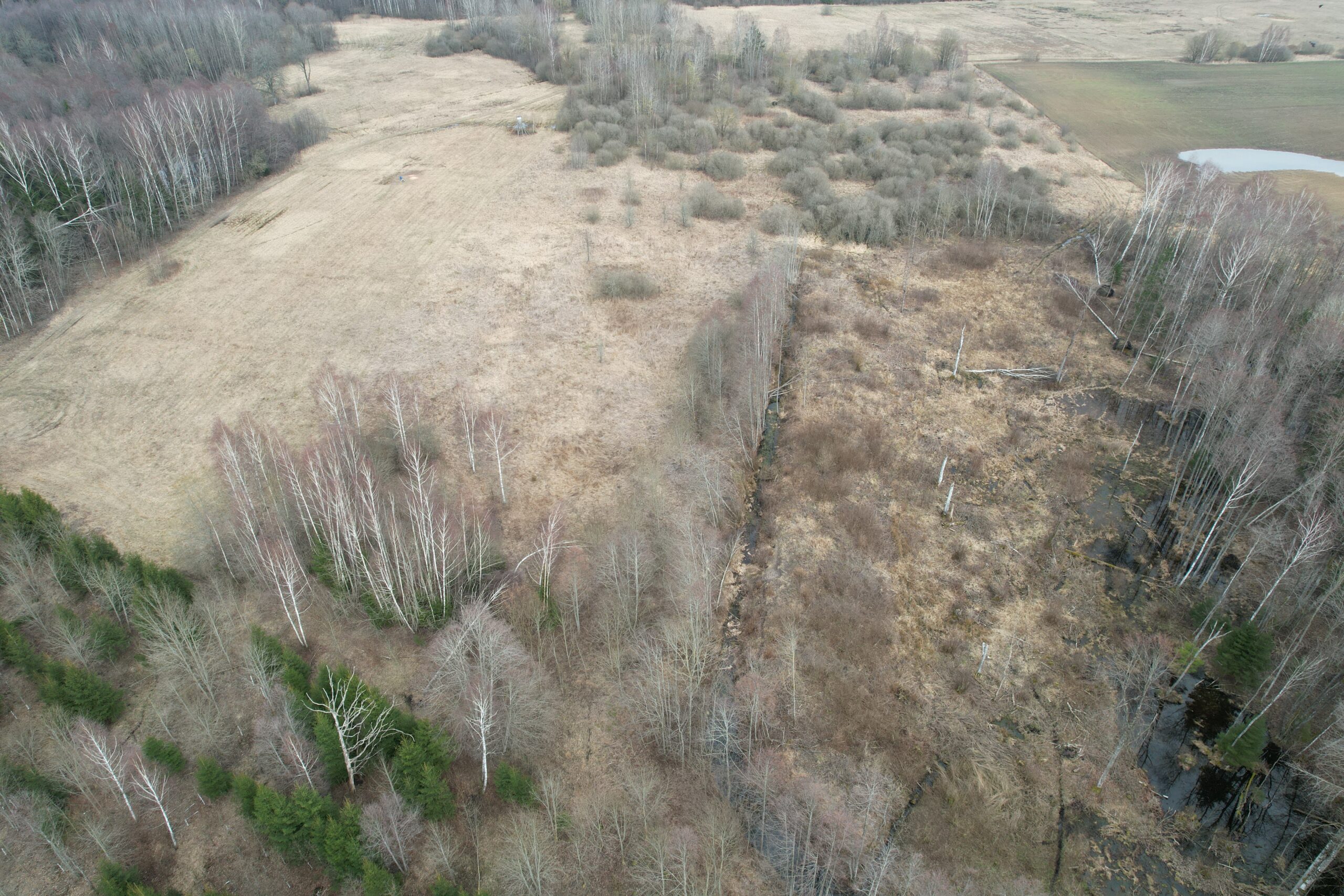 6,6600 HA Širvintų r. sav., Alionių sen., Jonių k.