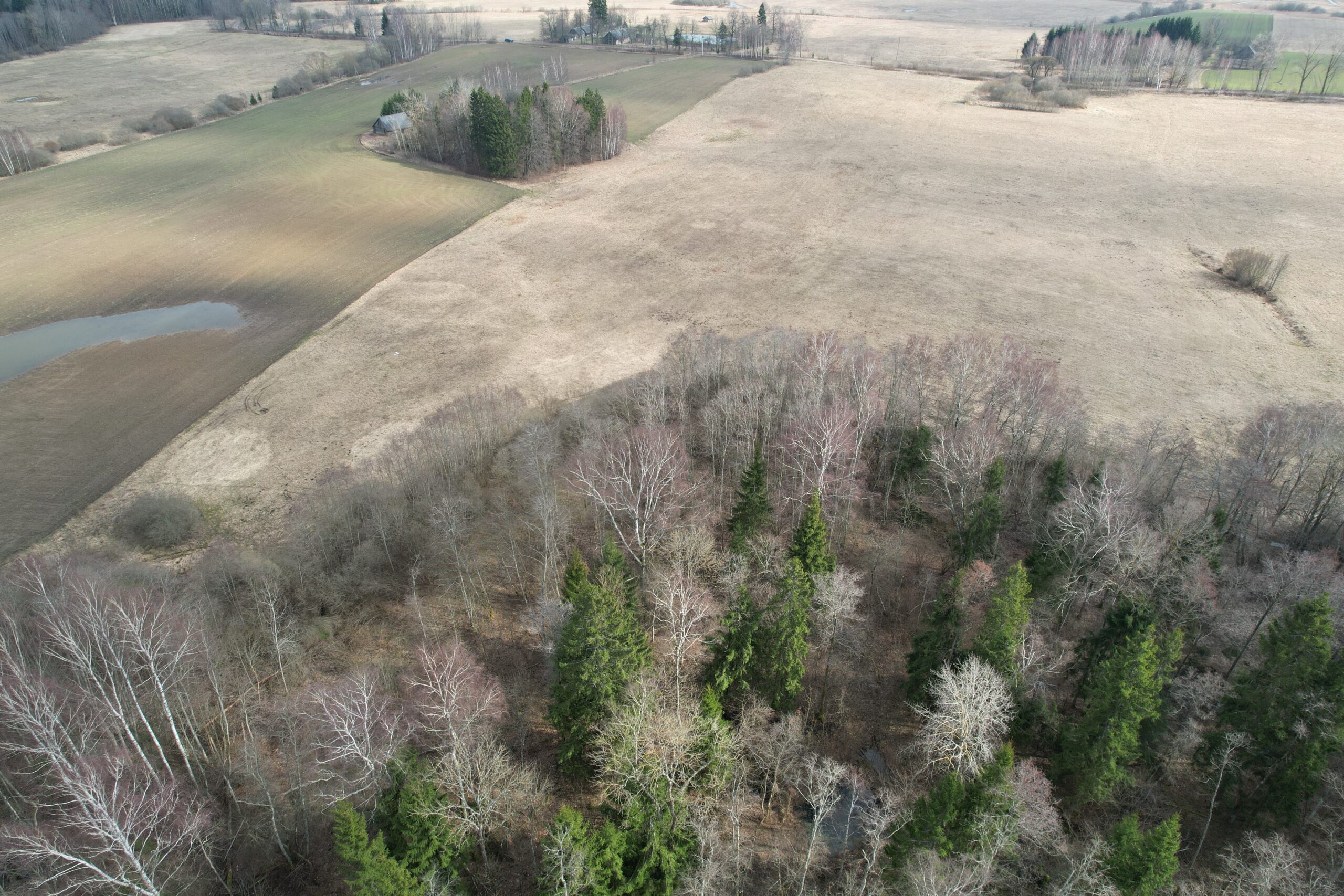 6,6600 HA Širvintų r. sav., Alionių sen., Jonių k.