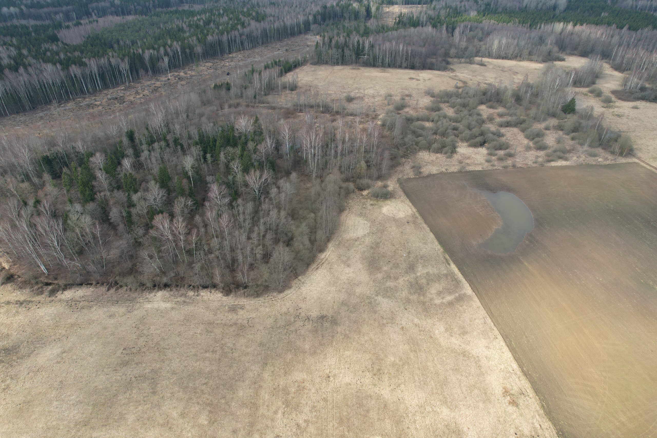 6,6600 HA Širvintų r. sav., Alionių sen., Jonių k.