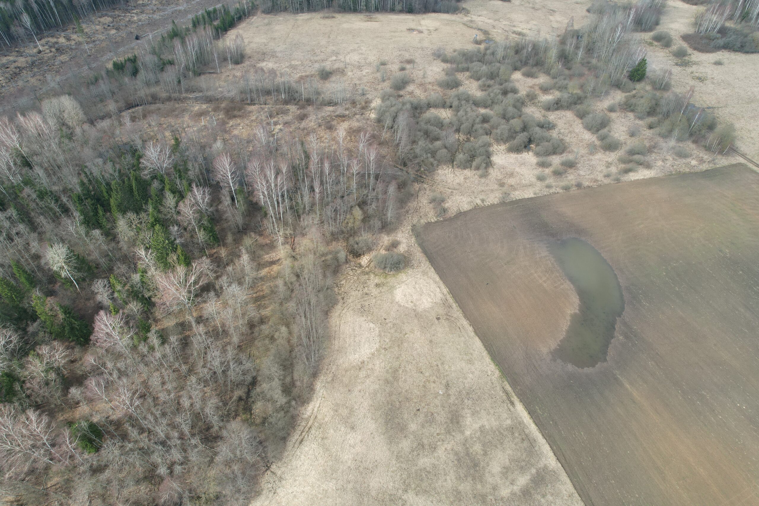 6,6600 HA Širvintų r. sav., Alionių sen., Jonių k.