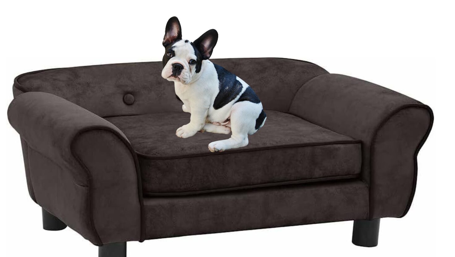 Augintinių sofa/guolis.