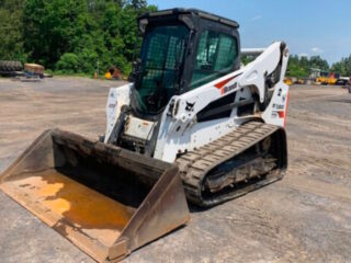 bobcat-1