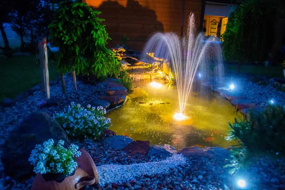 Dekoratyvinių tvenkinių, krioklių, fontanų įrengimas ir renovacija