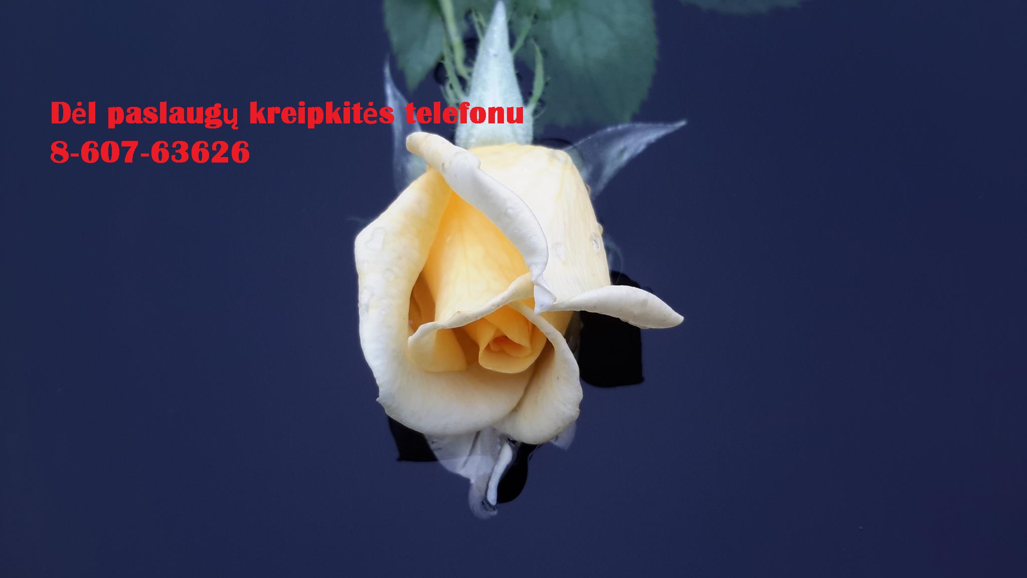 Mokslo darbai studentams ir doktorantams