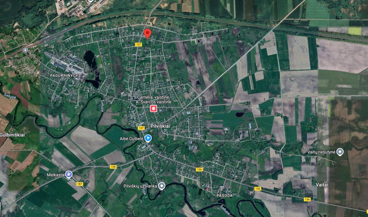 Pilviškių miestelyje, Gedimino g. Vilkaviškio r. sav.