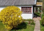 Kiškėnuose parduodamas vasarnamis