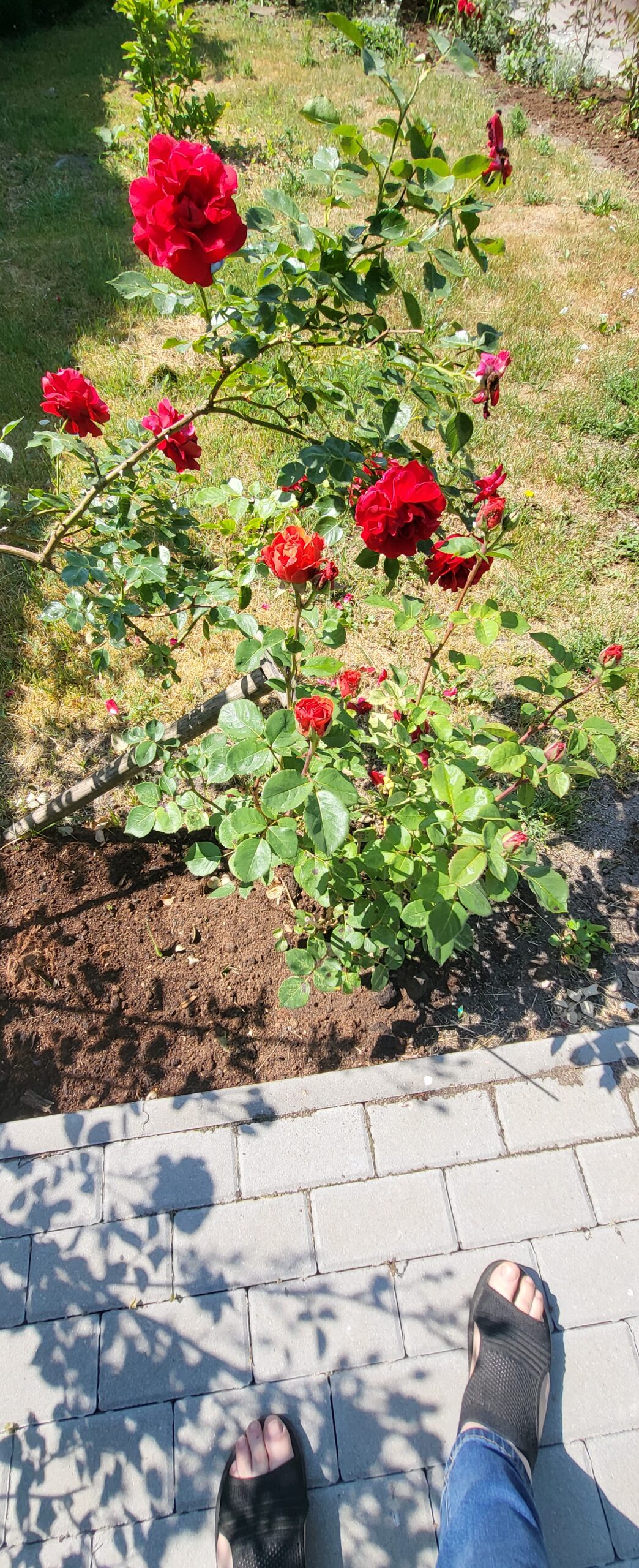 Sodyba tinka gyventi.