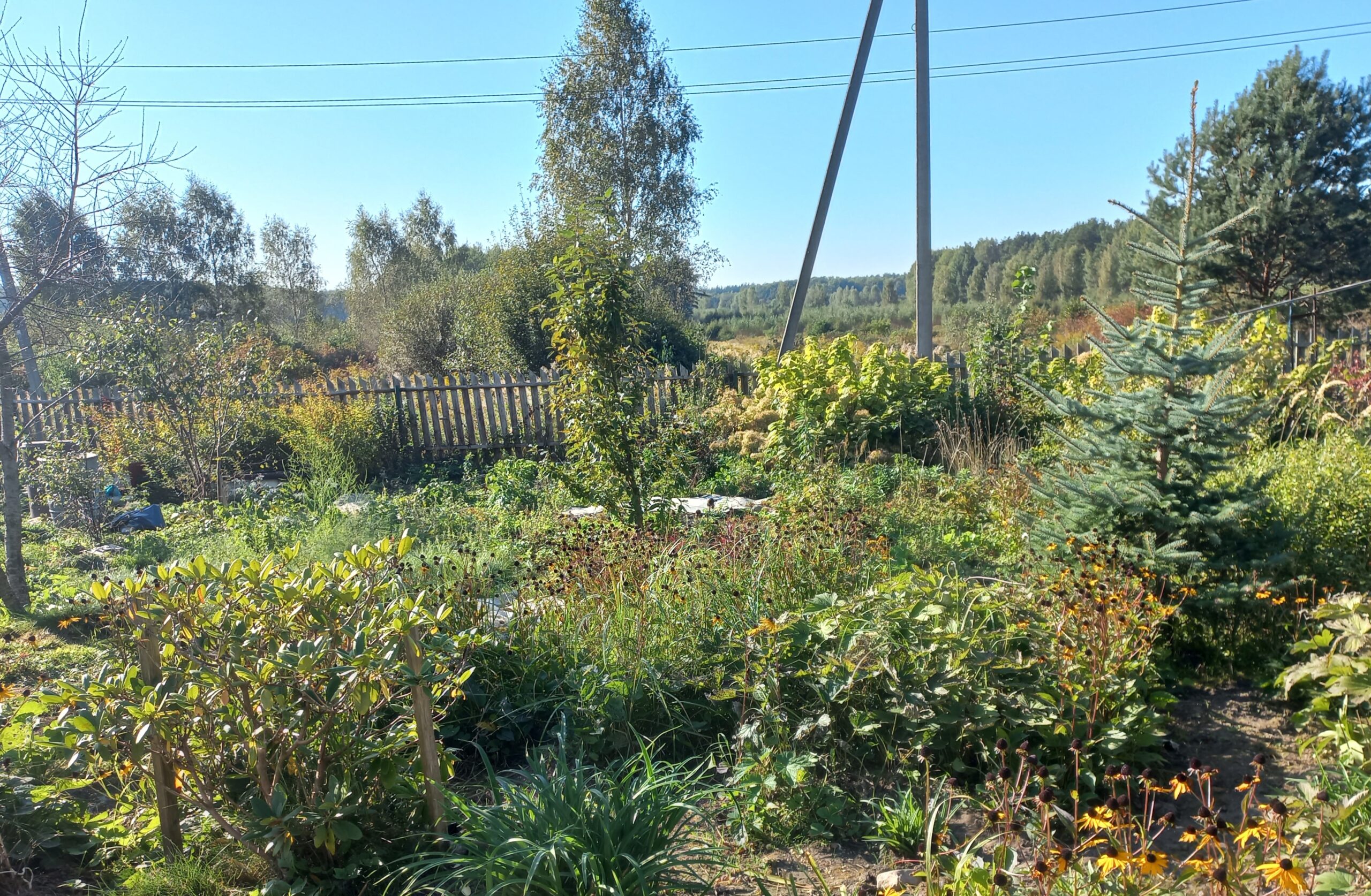 Parduodamas rąstinis namas su mansarda