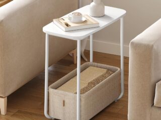 81GVmbI3ruL._AC_SL1500_