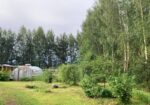 Parduodama sodyba ramybės oazėje – vos 8 km nuo Panevėžio miesto!