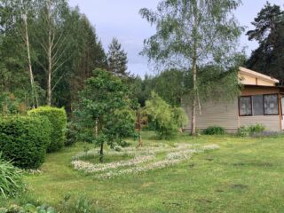 IMG-20250411-WA00041