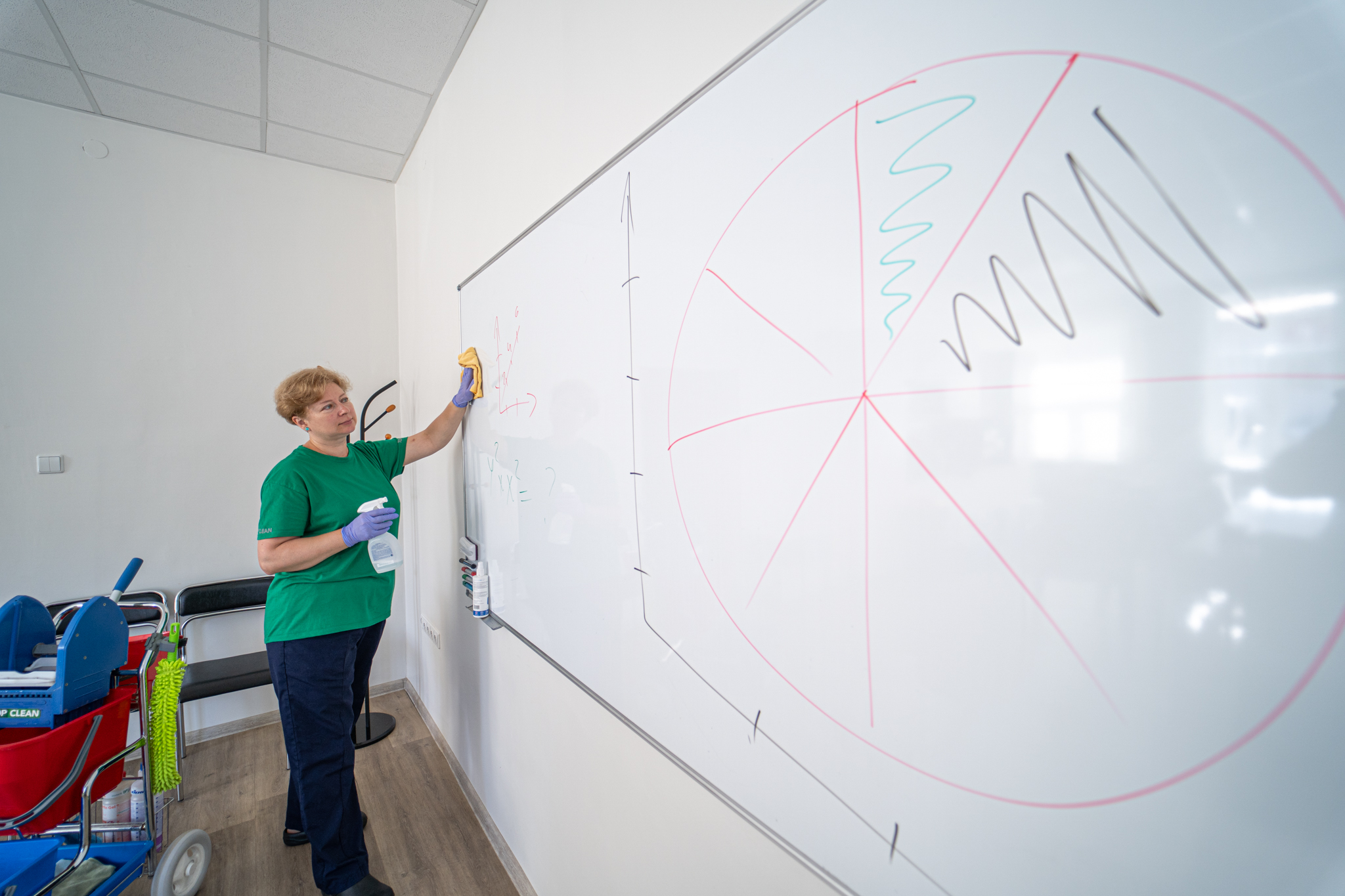 VALYTOJA (S) KONSTITUCIJOS PR.