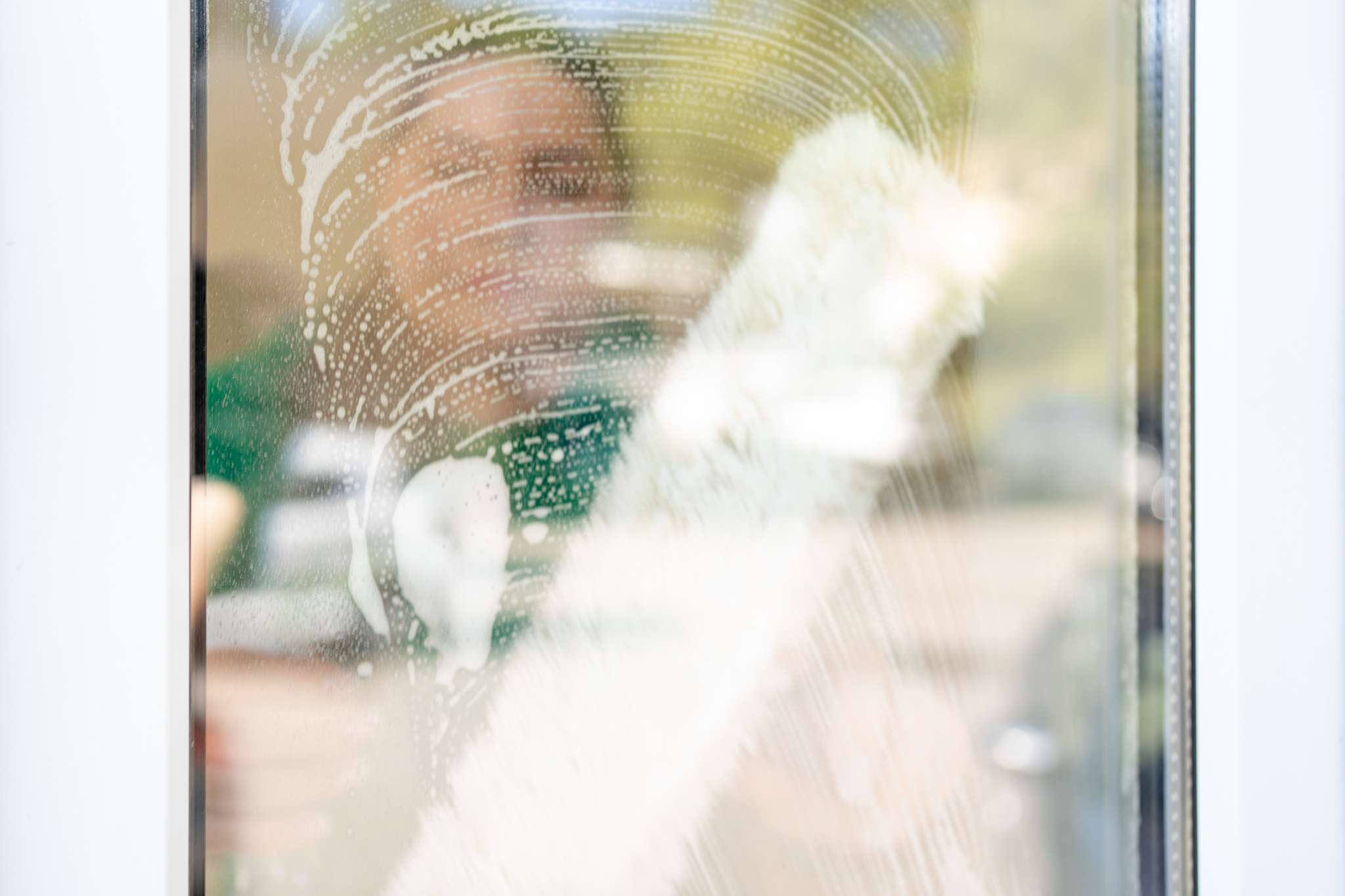 MOBILI VALYTOJA (S)-(vairuojanti-b kat. vair. pažymėjimas)