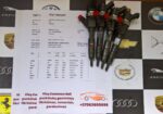 Kuro purkštukai Nissan-Interstar,Renault-Espace,Laguna,Master,Megane,Scenic. 0445110110