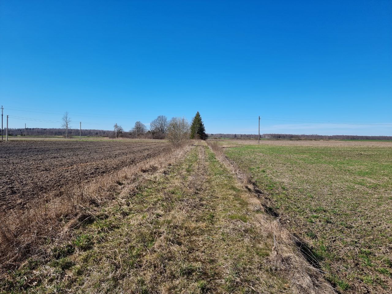 Sodyba su dideliu sklypu Biržų r. sav., Vabalninko sen.