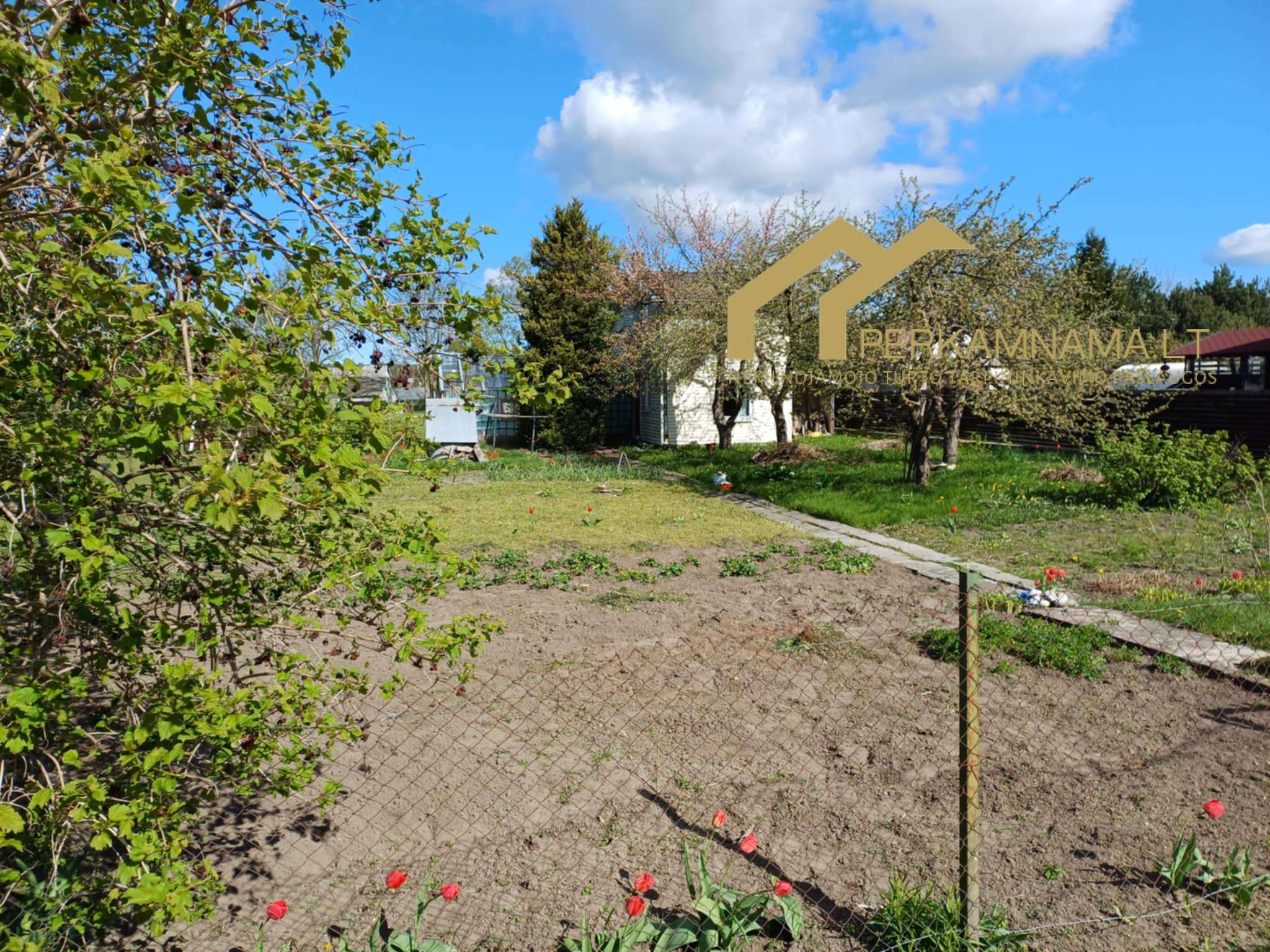 Sodas SB Dituva, Klaipėdos r.