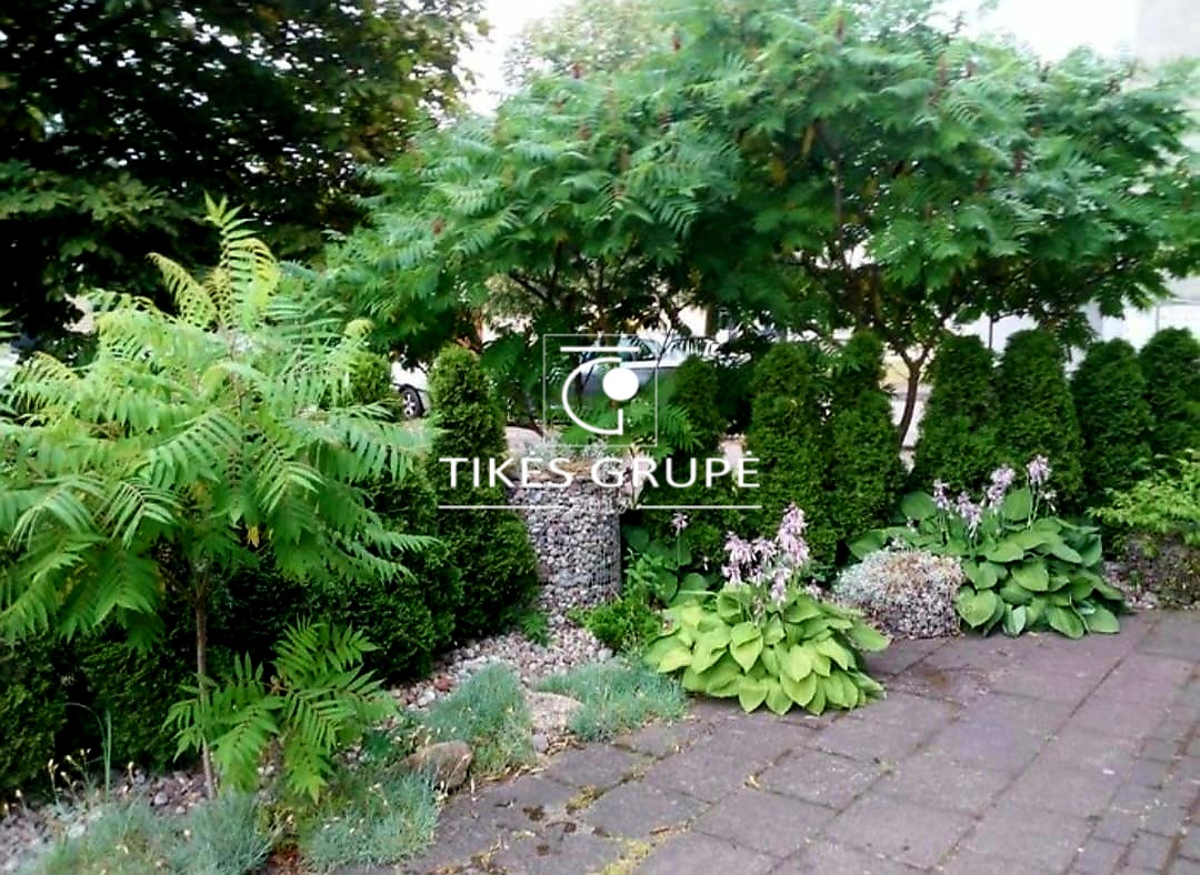 PALANGOS CENTRE PARDUODAMOS PATALPOS