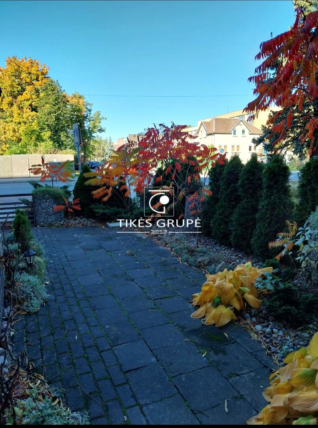 PALANGOS CENTRE PARDUODAMOS PATALPOS