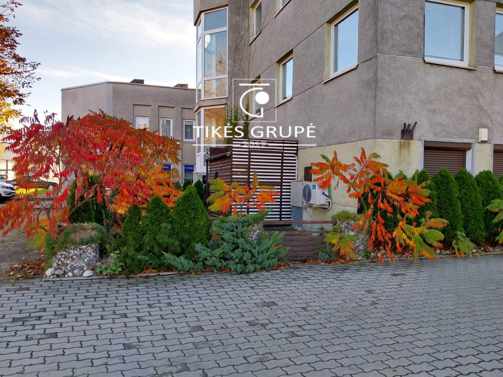 PALANGOS CENTRE PARDUODAMOS PATALPOS