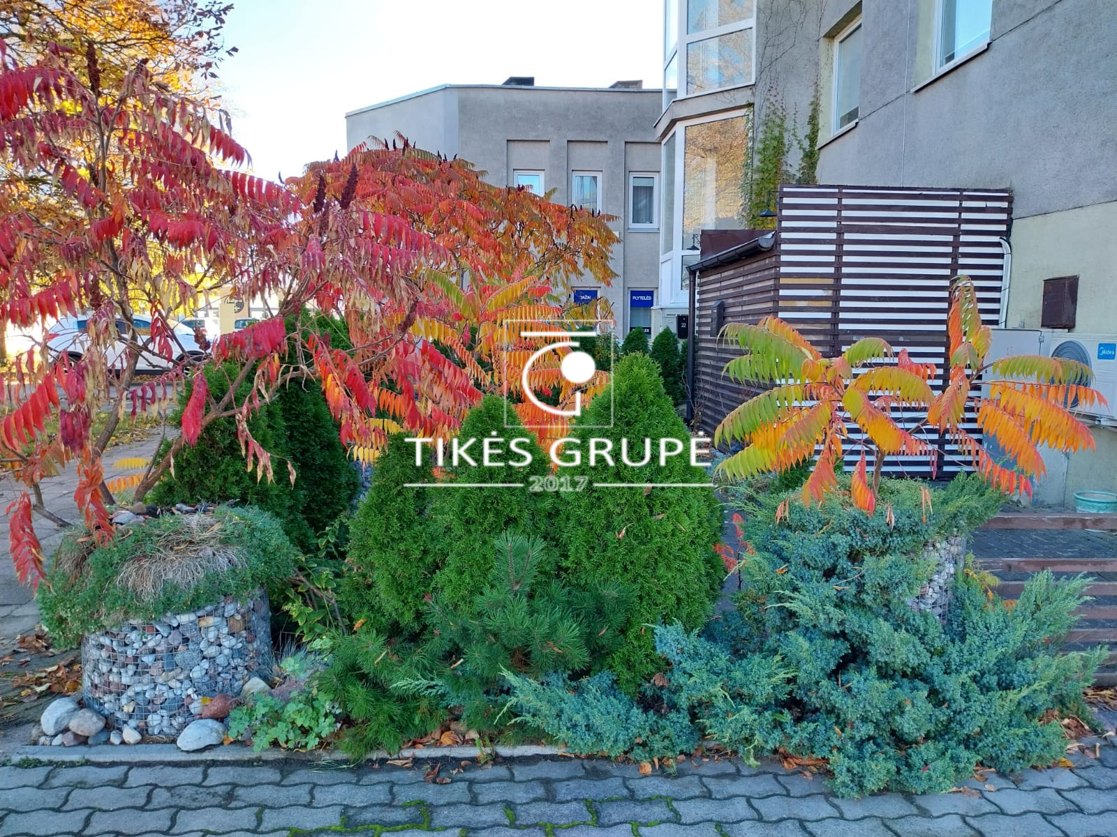 PALANGOS CENTRE PARDUODAMOS PATALPOS