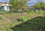 Parduodamas žemės sklypas Panevėžyje, SB “Šarmutas”, Bendrijų g. 62