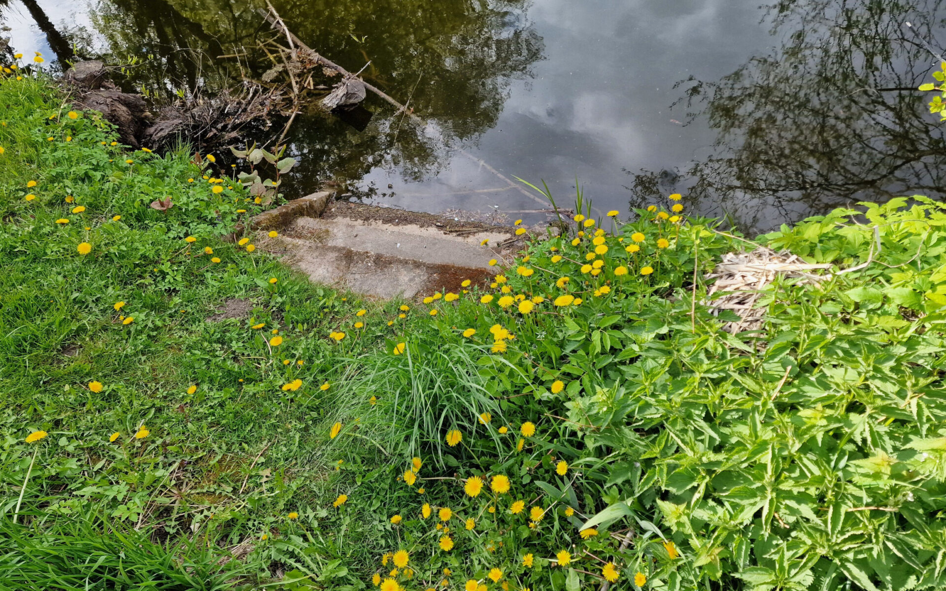 Parduodamas žemės sklypas Panevėžyje,  SB “Šarmutas”, Bendrijų g. 62