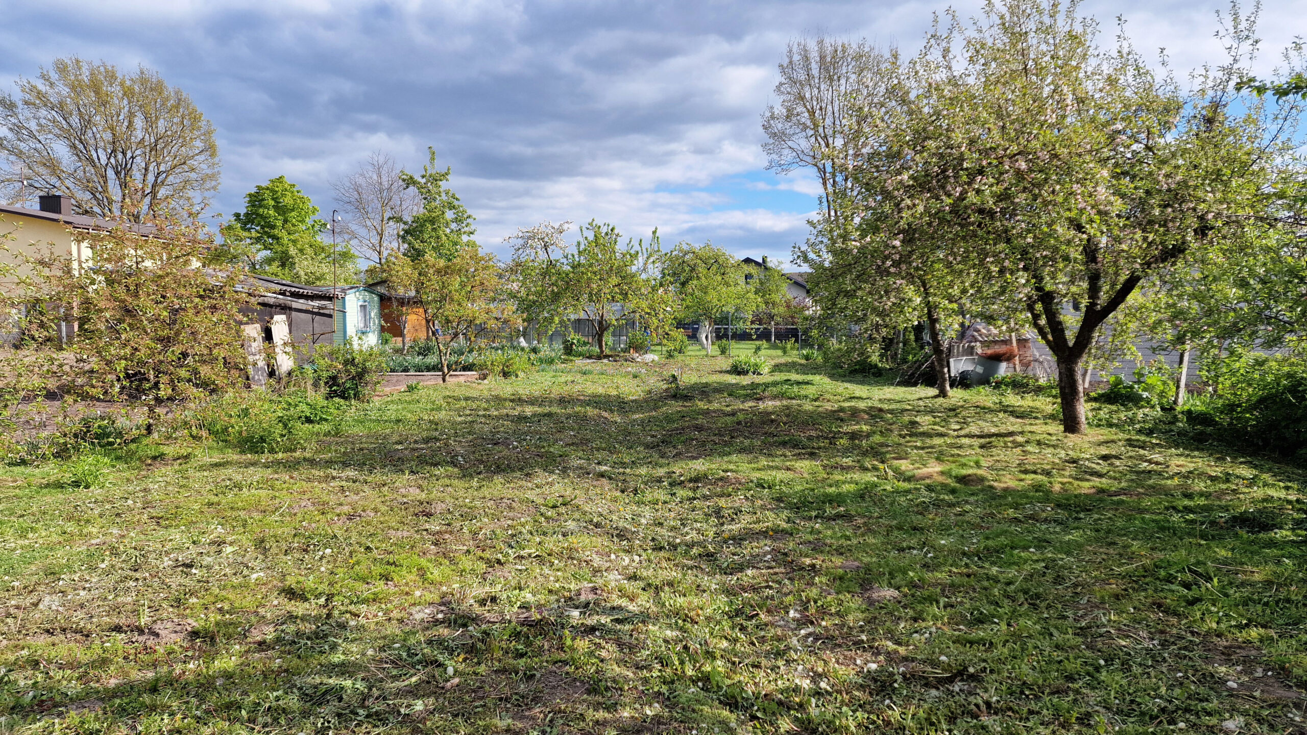 Parduodamas žemės sklypas Panevėžyje, SB “Šarmutas”, Bendrijų g. 62