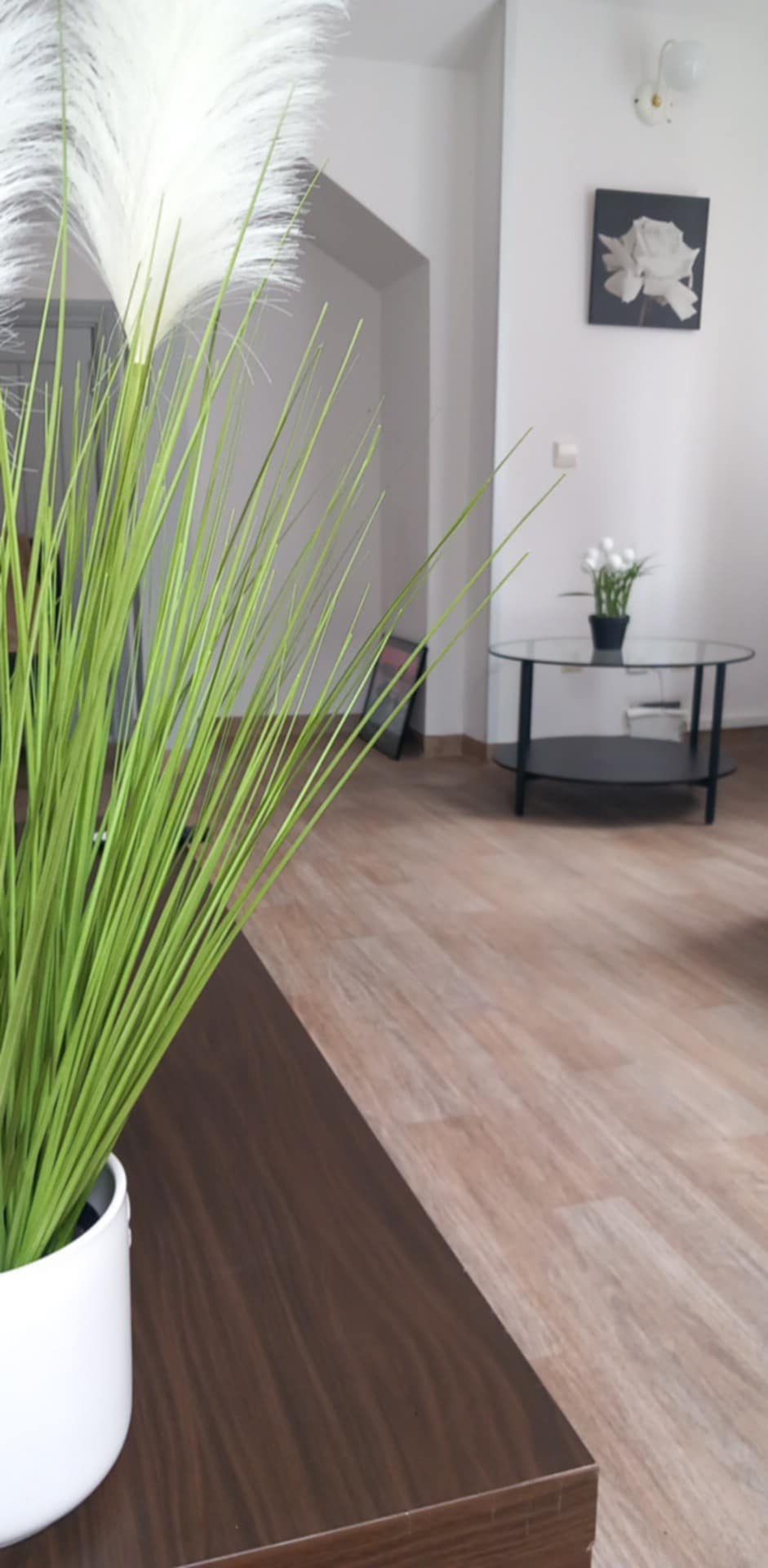 Buto nuoma paromis Klaipėdos centre. H. Manto g.