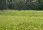 Parduodamas 0,3940 ha sklypas su giluminiais vandens gręžiniais – unikali galimybė verslui, investicijai ar gamybai Alytaus r. sav., Nemunaičio sen., Užupių k., Miškininkų g. 1D