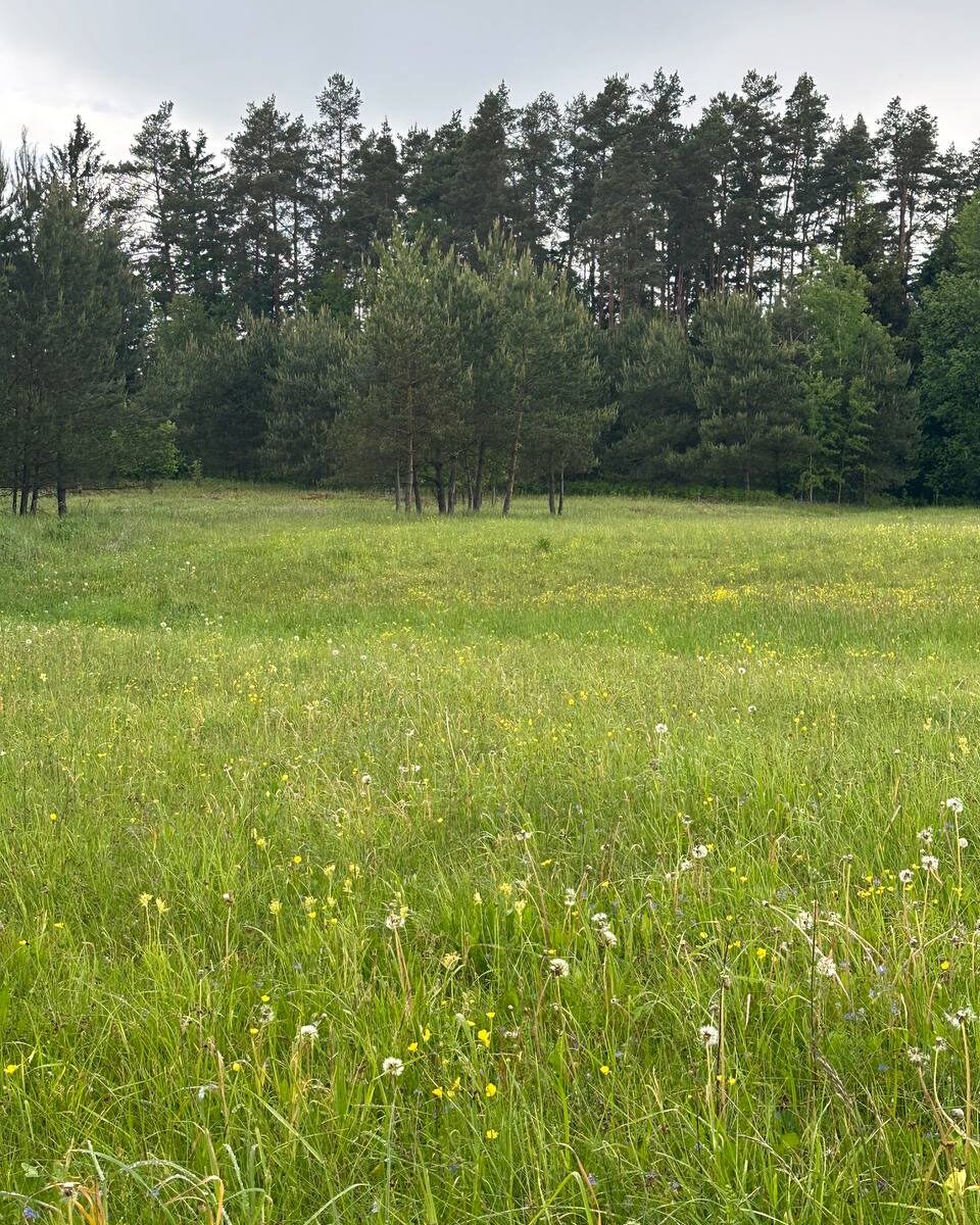 Parduodamas 0,3940 ha sklypas su giluminiais vandens gręžiniais – unikali galimybė verslui, investicijai ar gamybai Alytaus r. sav., Nemunaičio sen., Užupių k., Miškininkų g. 1D