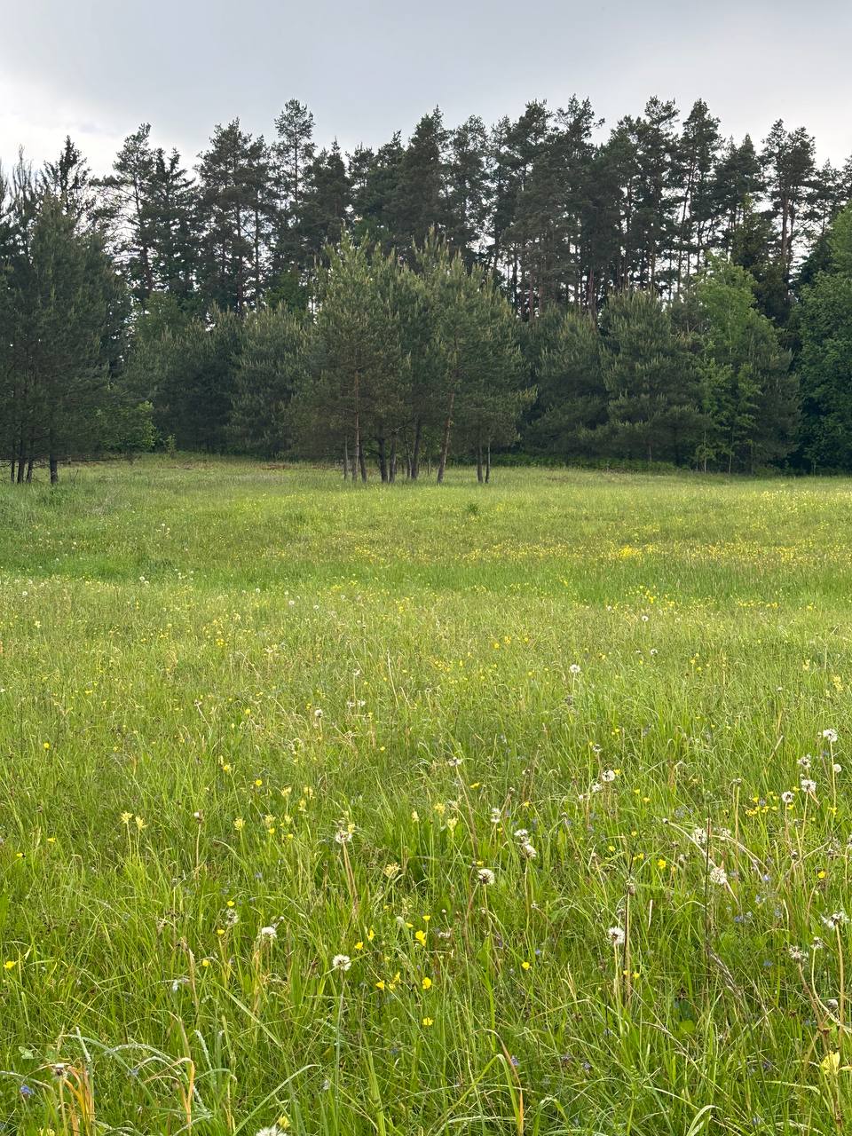 Parduodamas 0,3940 ha sklypas su giluminiais vandens gręžiniais – unikali galimybė verslui, investicijai ar gamybai Alytaus r. sav., Nemunaičio sen., Užupių k., Miškininkų g. 1D