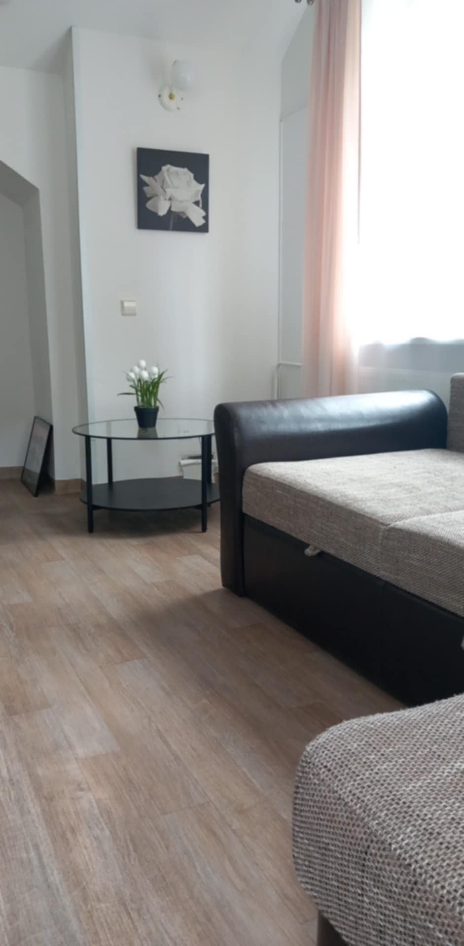 Buto nuoma paromis Klaipėdos centre. H. Manto g.