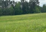 Parduodamas 0,3940 ha sklypas su giluminiais vandens gręžiniais – unikali galimybė verslui, investicijai ar gamybai Alytaus r. sav., Nemunaičio sen., Užupių k., Miškininkų g. 1D