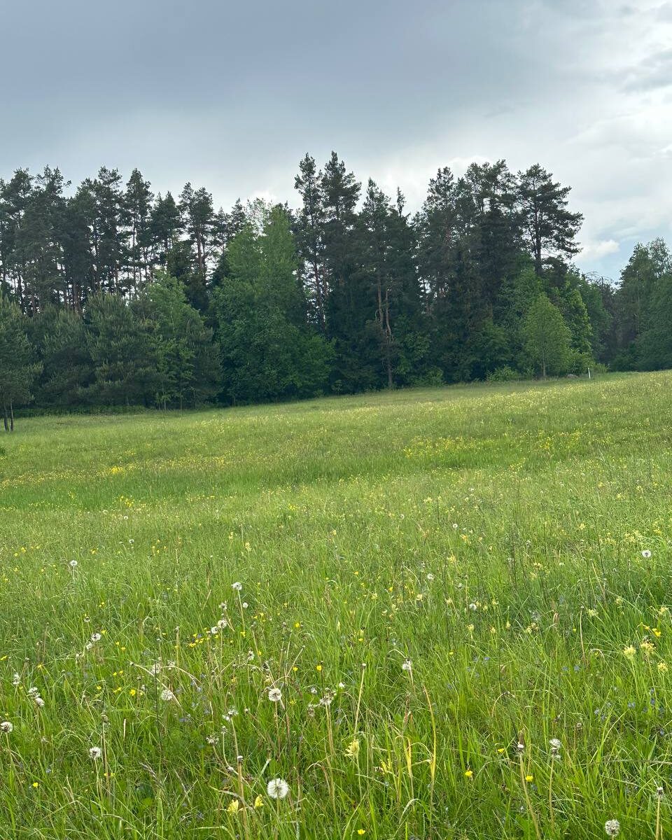 Parduodamas 0,3940 ha sklypas su giluminiais vandens gręžiniais – unikali galimybė verslui, investicijai ar gamybai Alytaus r. sav., Nemunaičio sen., Užupių k., Miškininkų g. 1D