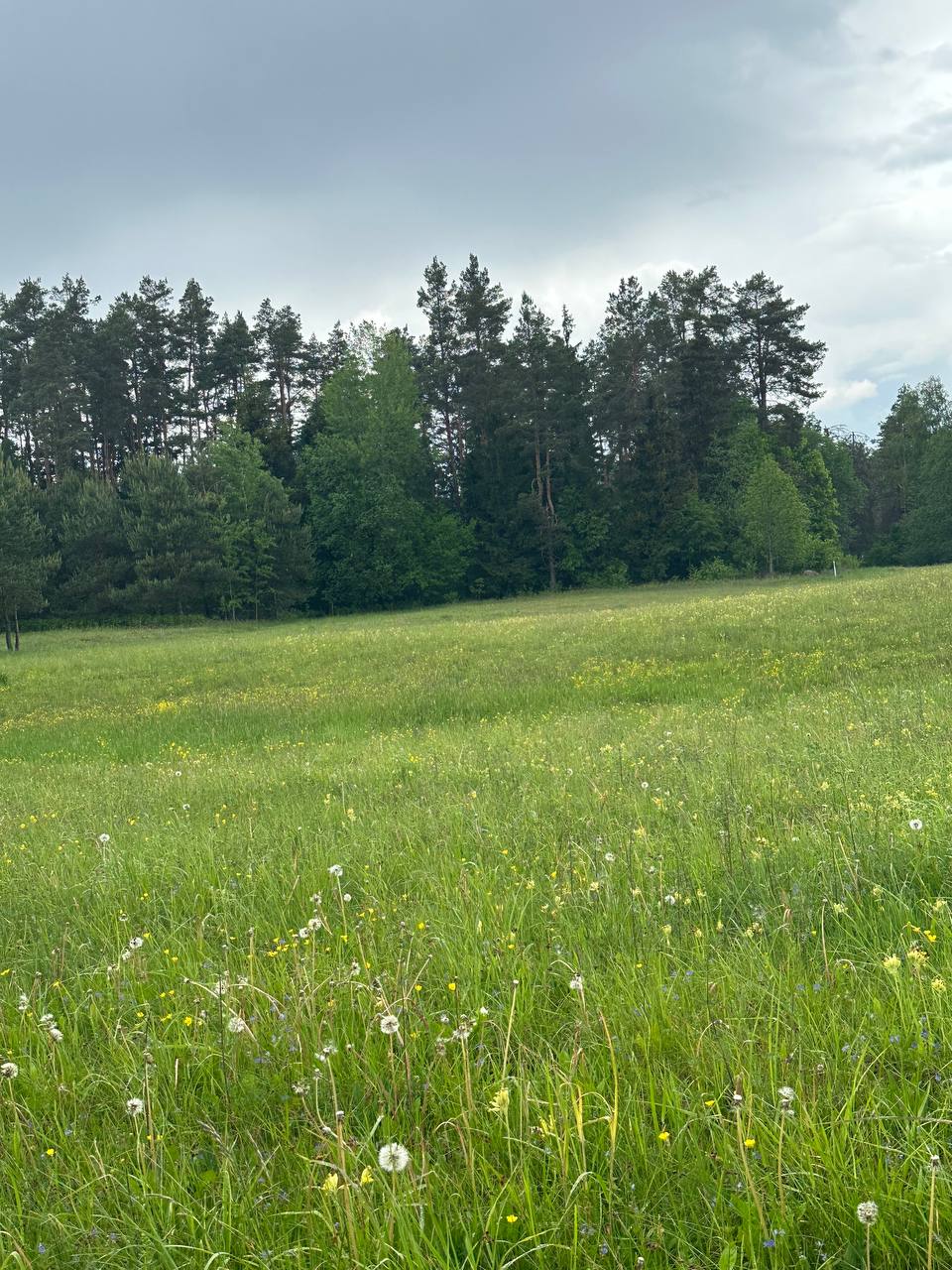 Parduodamas 0,3940 ha sklypas su giluminiais vandens gręžiniais – unikali galimybė verslui, investicijai ar gamybai Alytaus r. sav., Nemunaičio sen., Užupių k., Miškininkų g. 1D