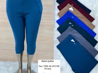 7502_bridzai_dideli_dydziai