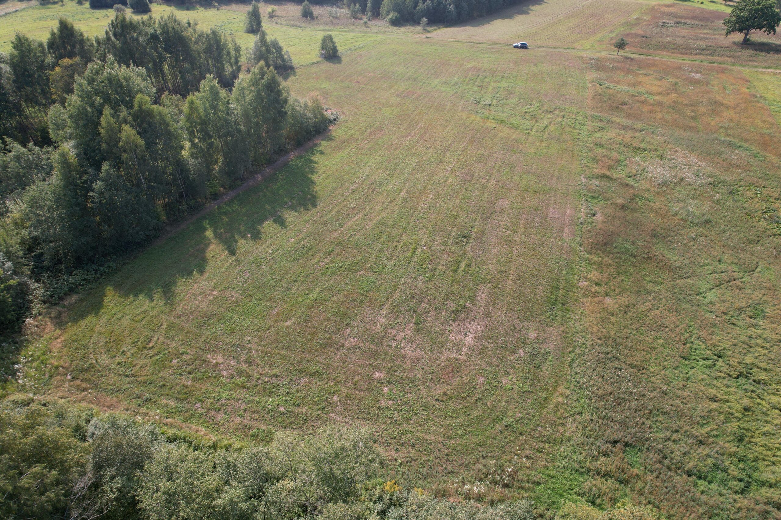 1,3012 HA Širvintų r. sav., Jauniūnų sen., Petriškių k.