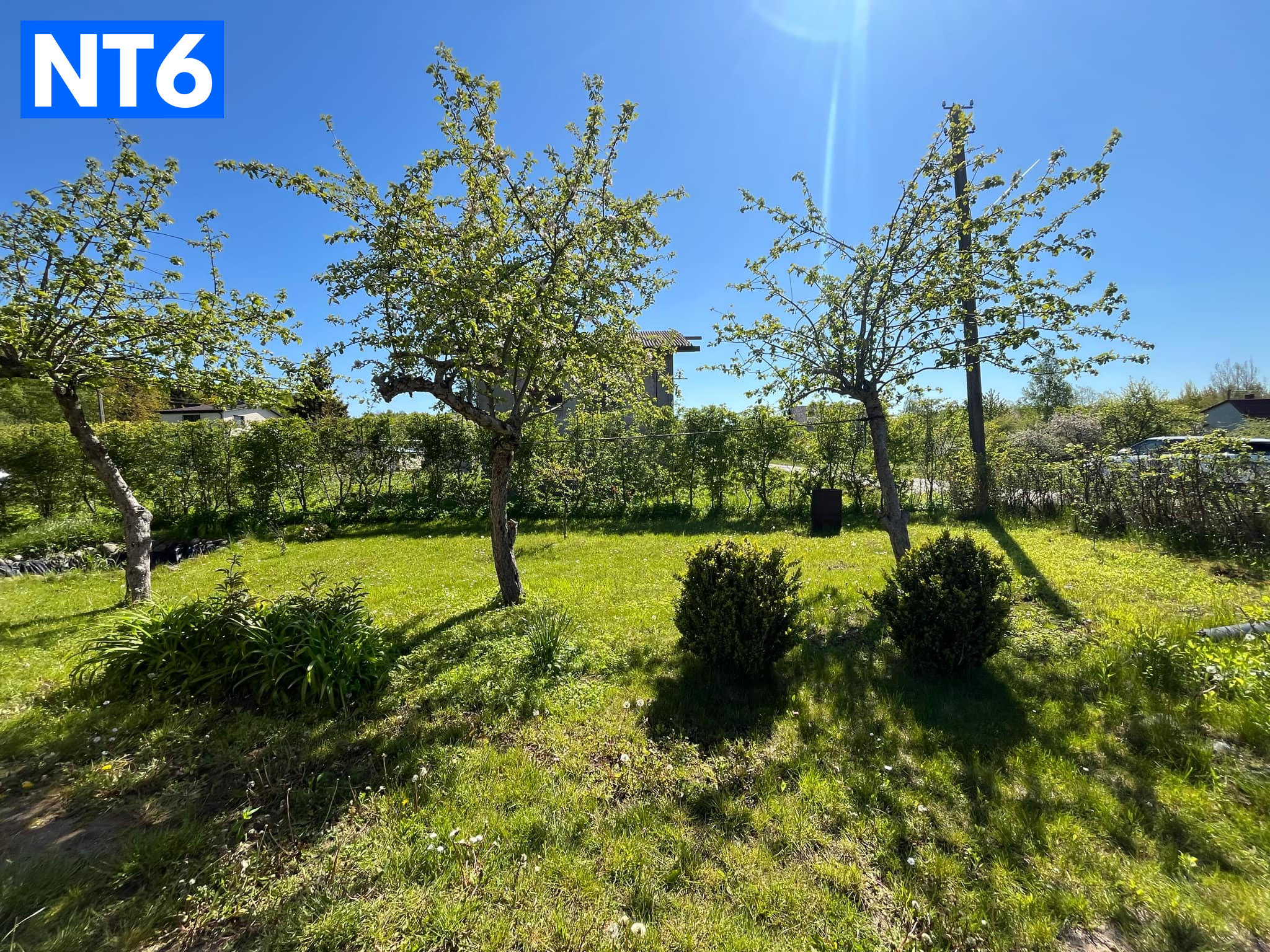 PARDUODAMAS 6 ARŲ SODAS VAITELIUOSE 48 M2