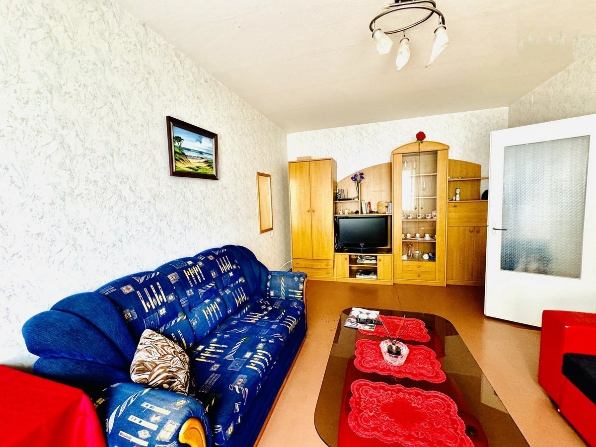 Parduodamas 1 kambario su holu, 44 m2 butas Mogiliovo gatvėje, Klaipėdoje.
