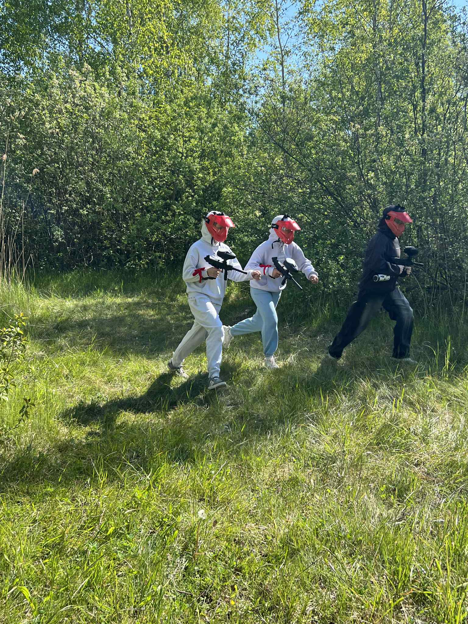 Dažasvydis Gargžduose