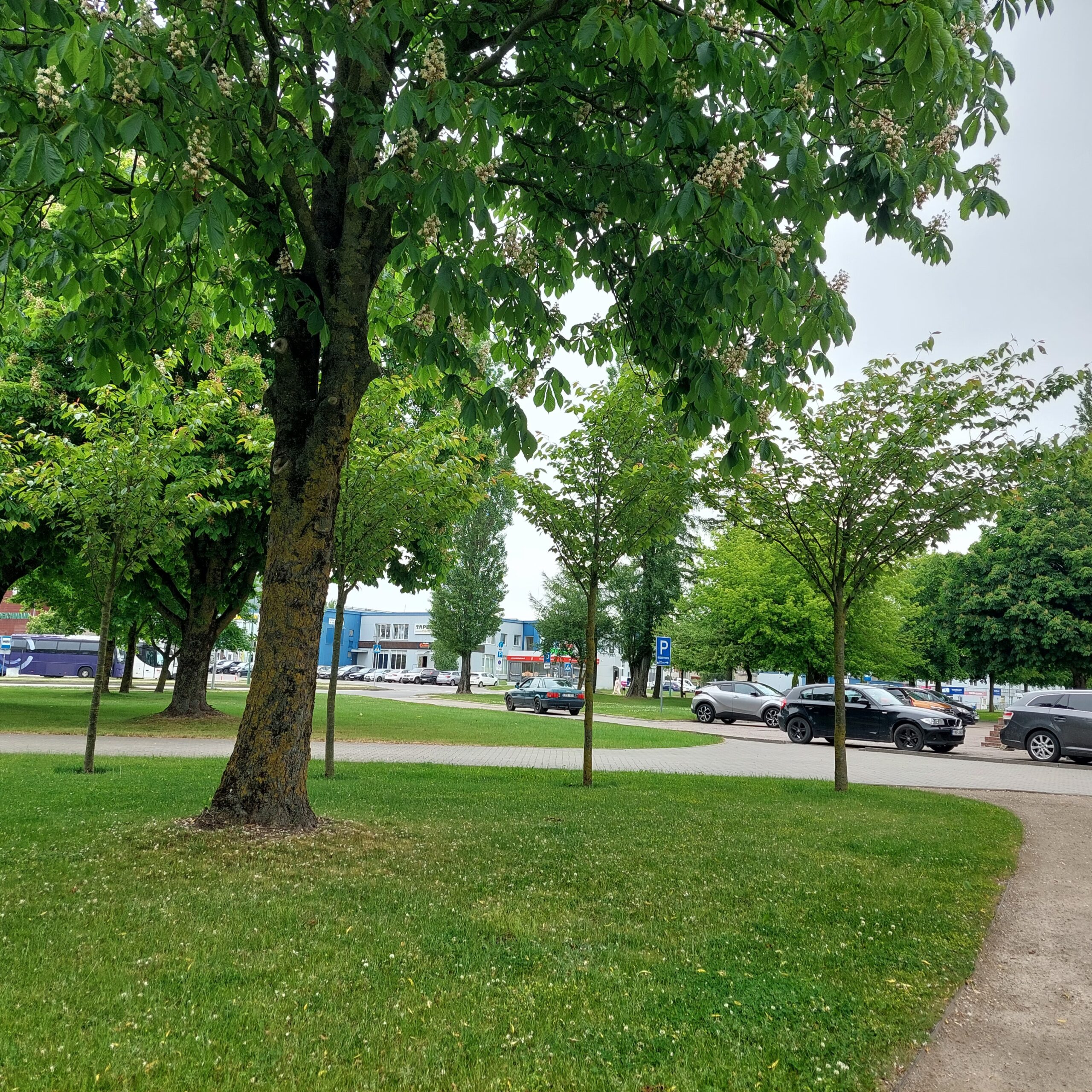 Parduodamos patalpos šalia AKROPOLIO