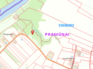 2025-06-04-10_33_57-Laisvos-zemes-fondas–-„Google-Chrome