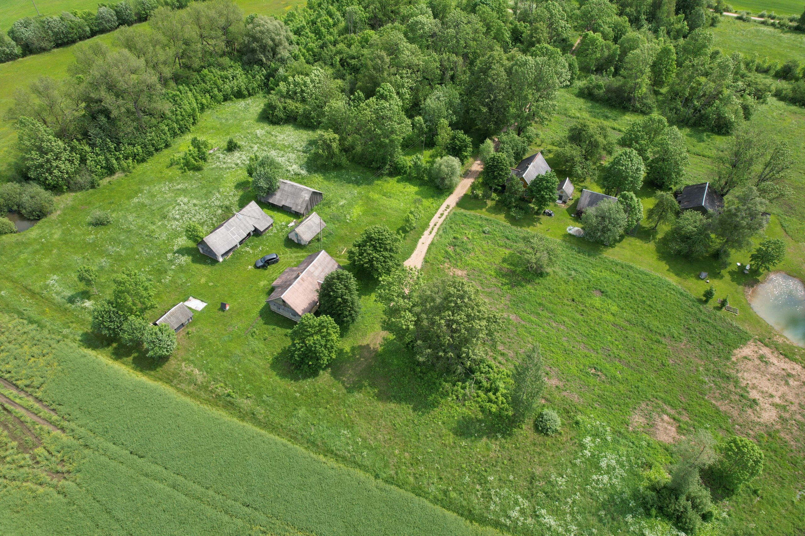 PARDUODAMA GRAŽI, TVARKINGA SODYBA