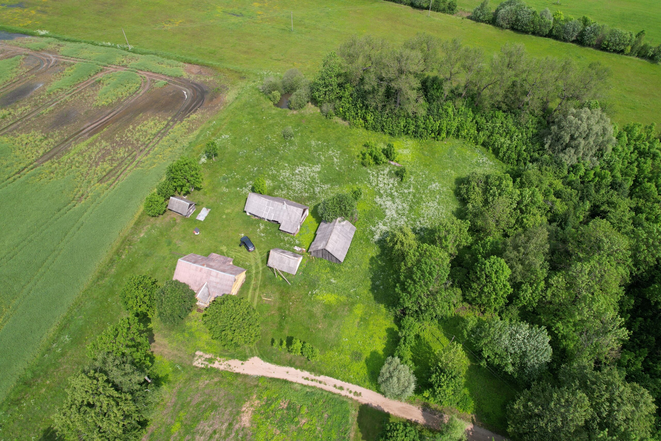 PARDUODAMA GRAŽI, TVARKINGA SODYBA