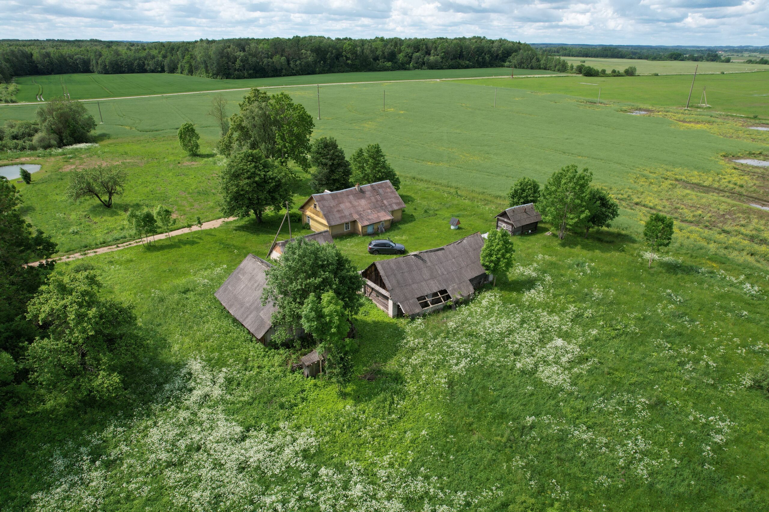 PARDUODAMA GRAŽI, TVARKINGA SODYBA
