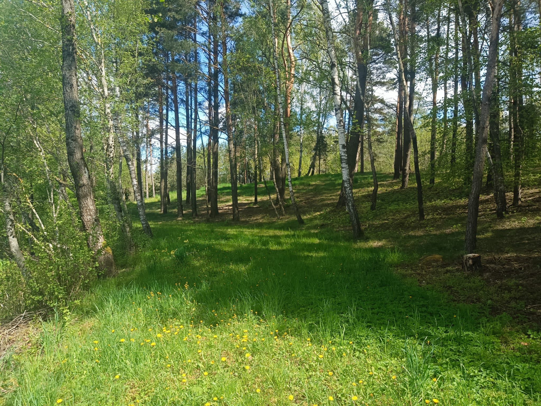 Parduodama sodyba su tvenkiniu Kalino kaime, Vilniaus rajone