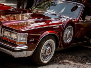 IMG-f4edbd8081cf0554ec99482bb0b16938-V